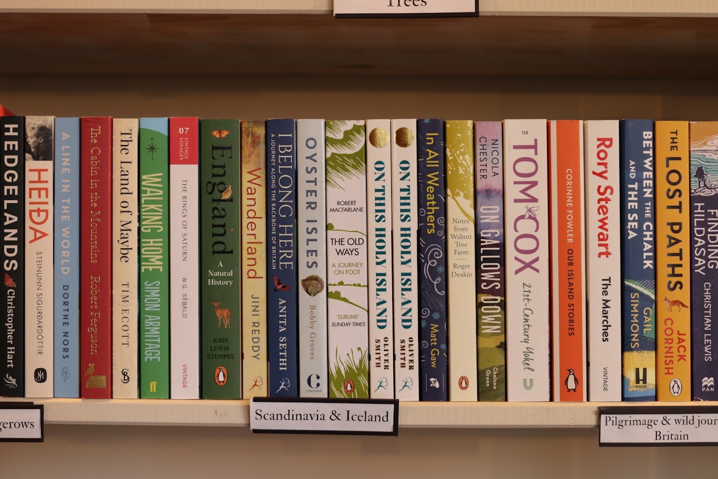 Biografie-Arbeit: Mehr als nur Geschichten erzählen